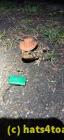 /home//u458753944/public_html/sourcegallery///Roxborough Toad Detour/2025/2025-04-26/20250426_205139.jpg